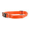 FP-COL-34 - Orange FP-COL-34 - Orange