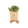 PLUSH8 - Succulent PLUSH8 - Succulent