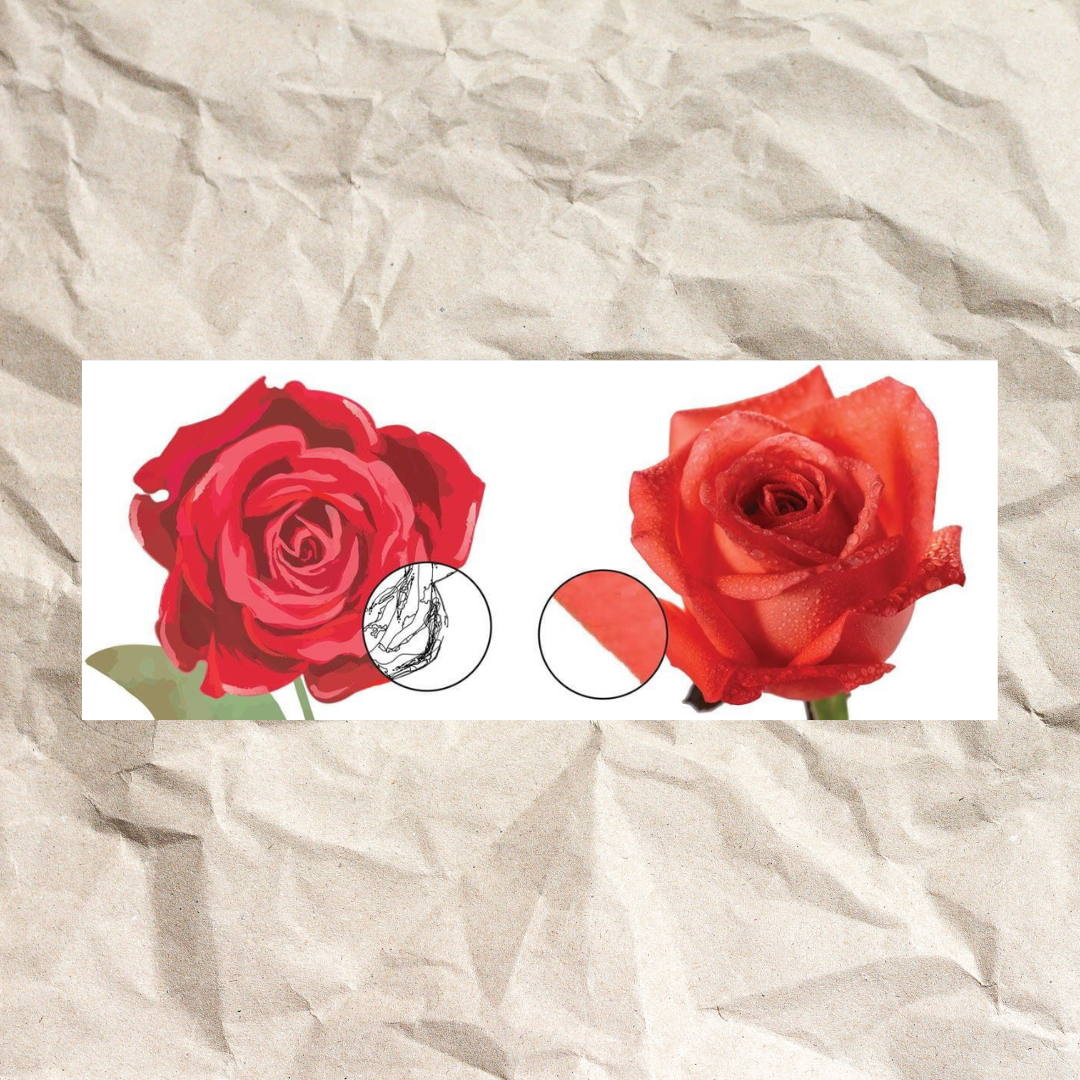 Digital Art Lesson 1: Vector vs. Raster